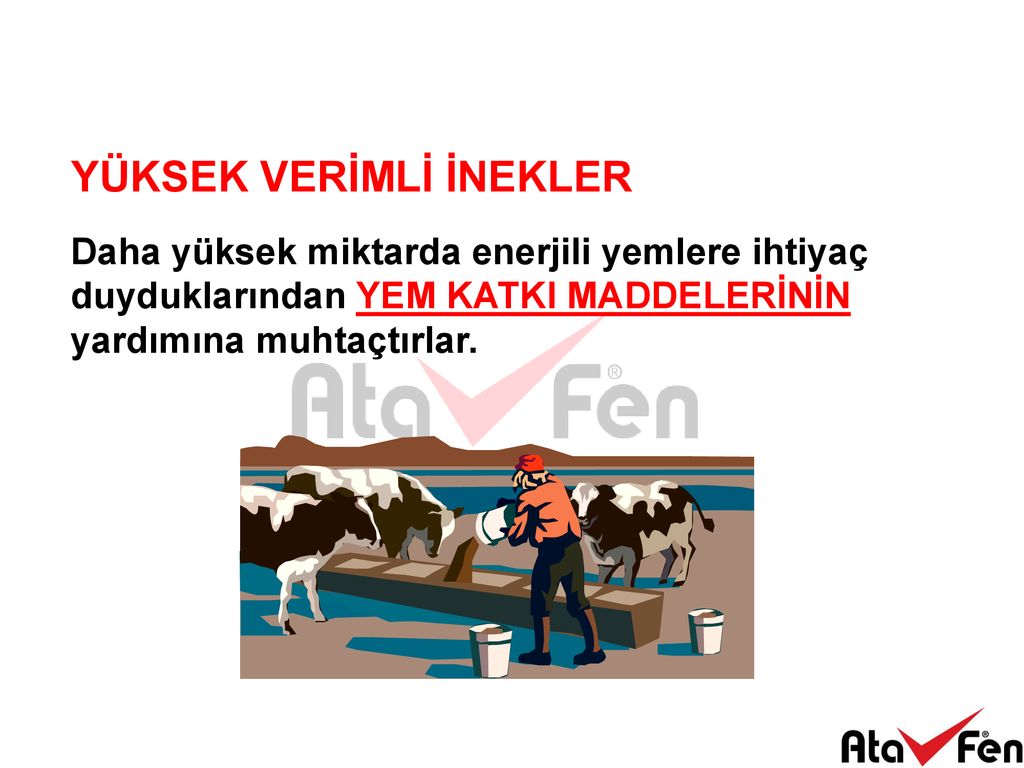 Nekler N S T Ver M N Etk Leyen Fakt Rler Ppt Indir